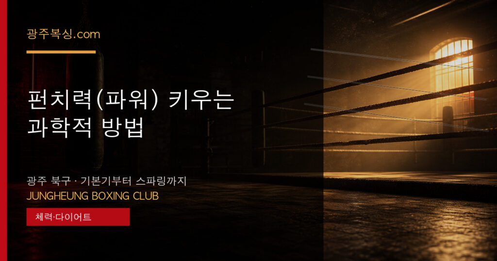 펀치력(파워) 키우는 과학적 방법 대표 이미지 - 중흥복싱클럽