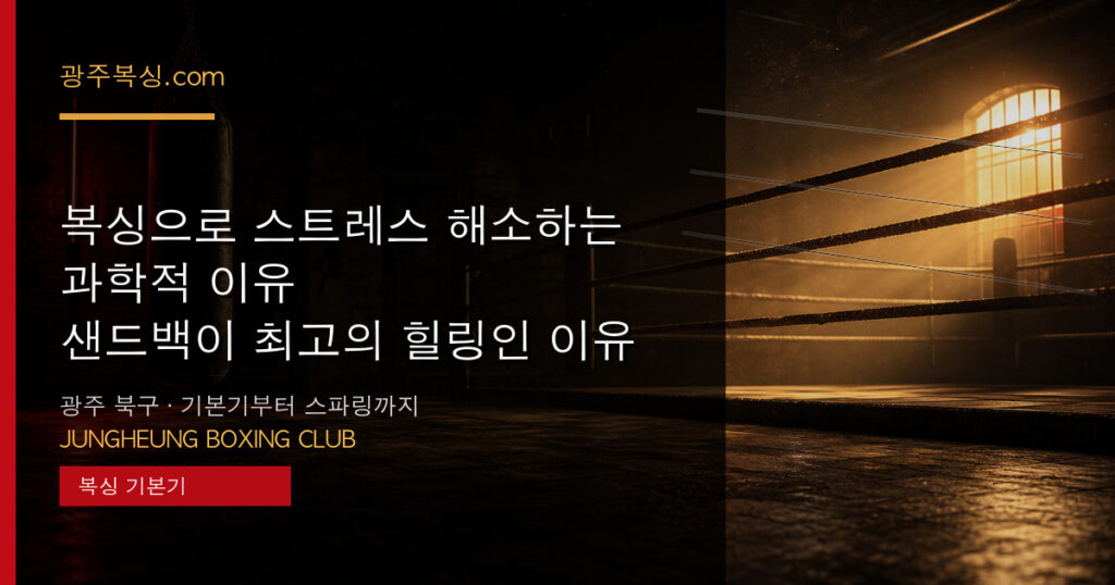 복싱으로 스트레스 해소하는 과학적 이유 — 샌드백이 최고의 힐링인 이유 대표 이미지 - 중흥복싱클럽