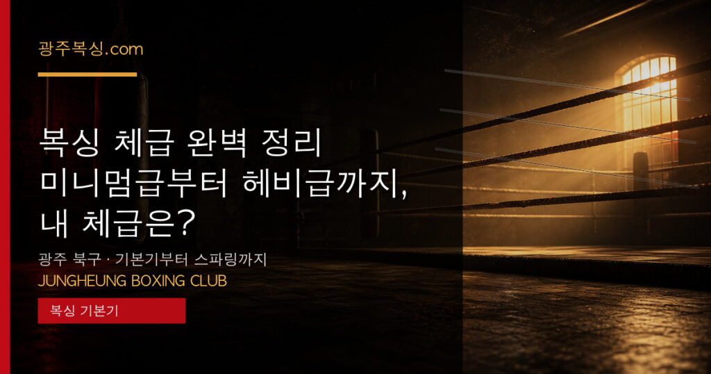 복싱 체급 완벽 정리 — 미니멈급부터 헤비급까지, 내 체급은? 대표 이미지 - 중흥복싱클럽